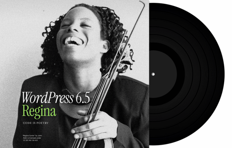 Update von WordPress auf Version 6.5